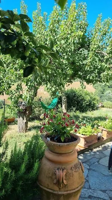 Chalet Un Piccolo Paradiso Nel Chianti Piu Selvaggio Greve in Chianti