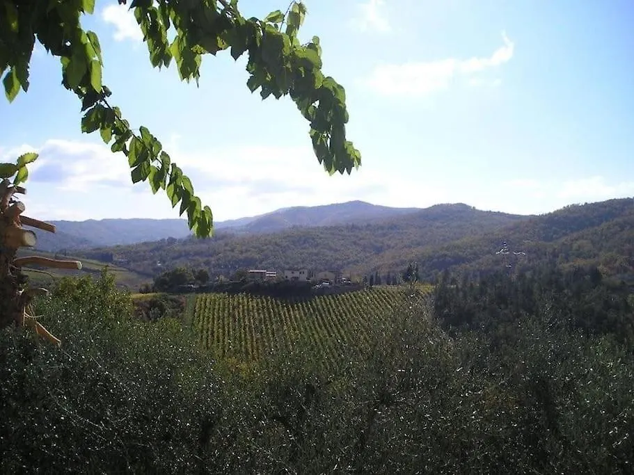 Un Piccolo Paradiso Nel Chianti Piu Selvaggio contacts