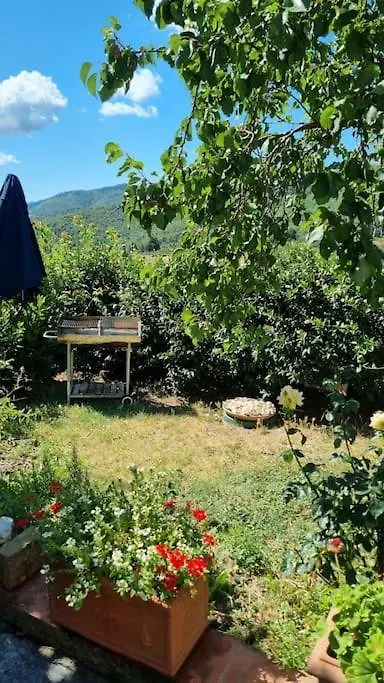 Un Piccolo Paradiso Nel Chianti Piu Selvaggio Greve in Chianti 0*,  Italy